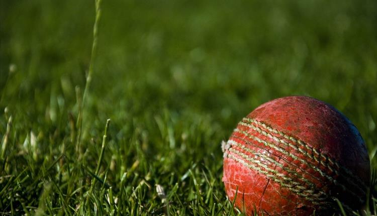 Old cricket ball nestled in luscious grass.