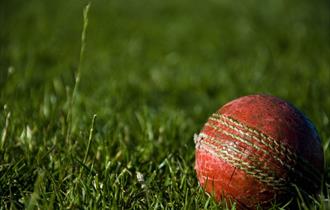 Old cricket ball nestled in luscious grass.