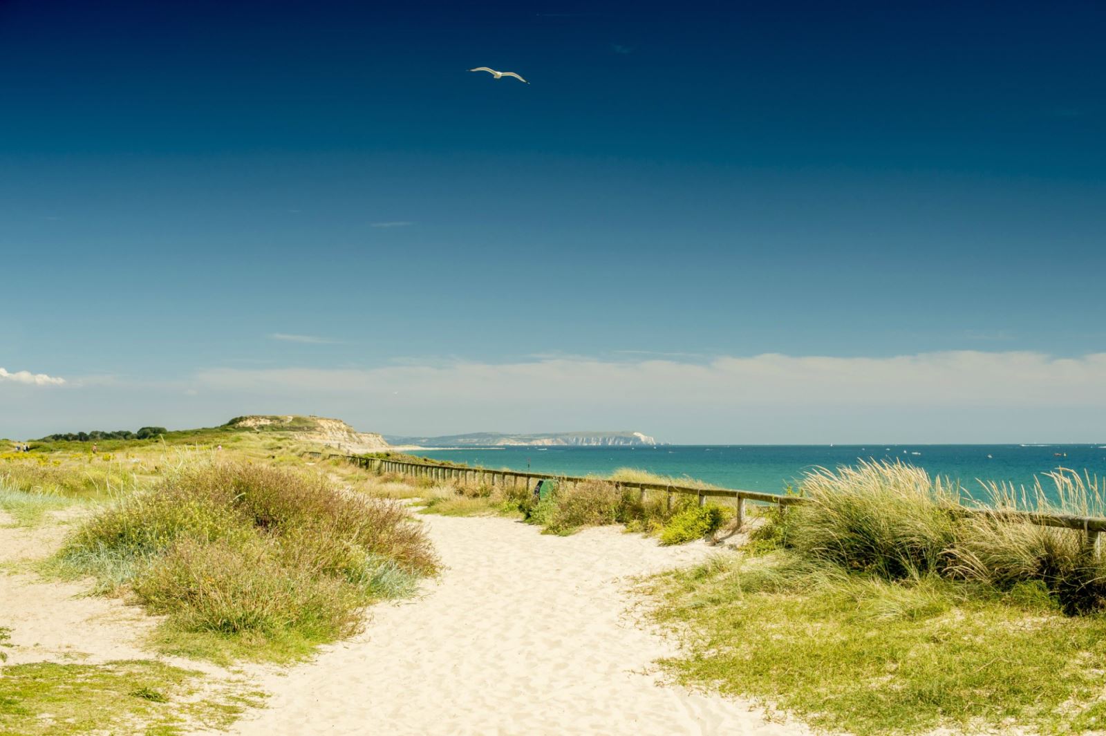 A view of the heath-land on beautiful sunny day at Hengistbury Head