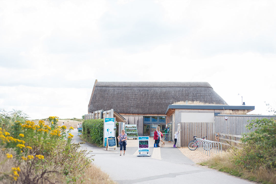 Visitors enjoying the Hengistbury Head visitor centre on a clear day 