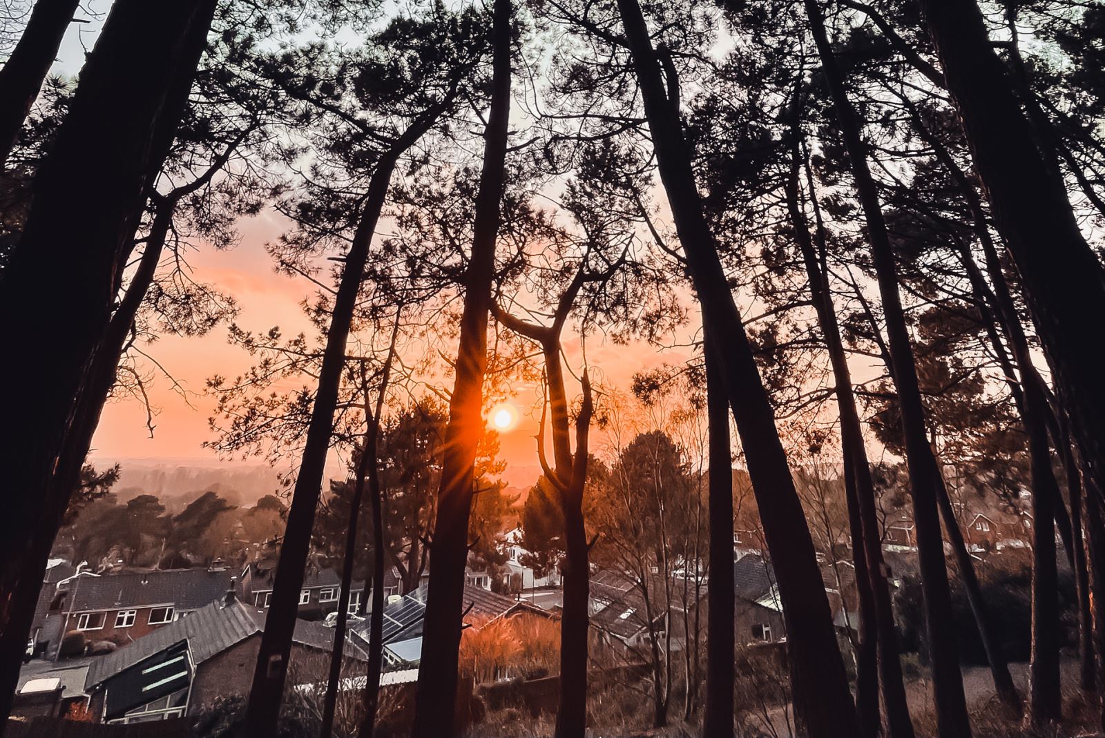 sunset at st catherine's hill