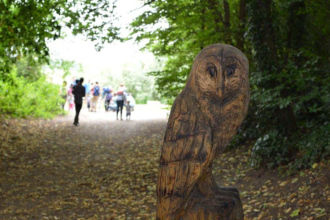 Wooden owl found at the Stour valley nature reserve near Bournemouth