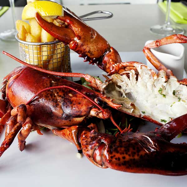 A plate of Lobster at the Noisy Lobster restaurant near Christchurch