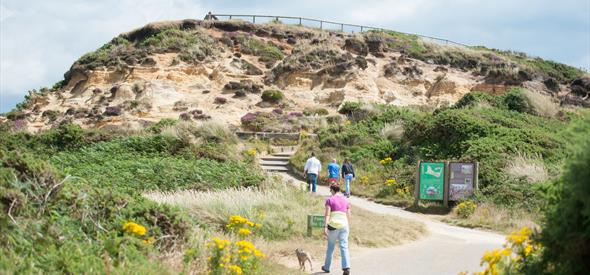 Steps in the cliff