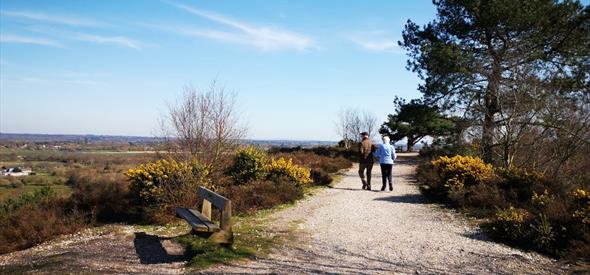 A trail at the peak of the Hill with a great view of Christchurch.