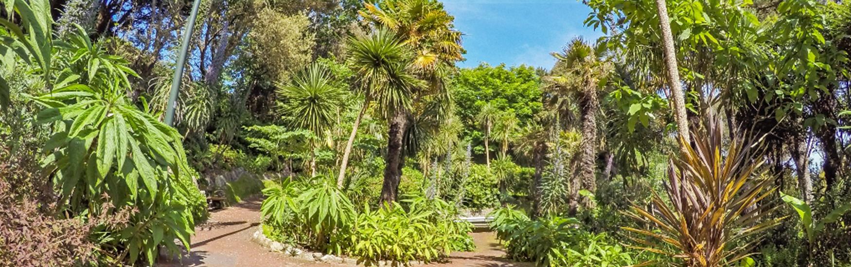 Alum Chine tropical gardens lots of luscious greenery