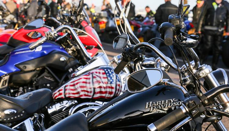 Close up of Poole Dream Machines bikes