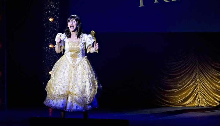 Once Upon A Princess