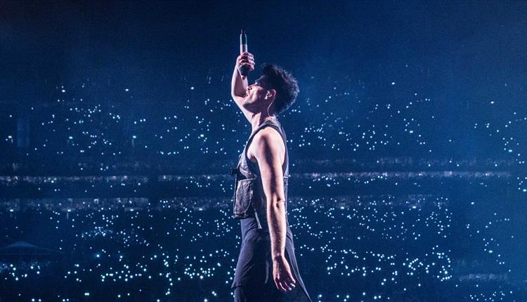 The Script