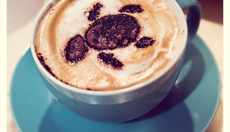 Mocha Turtle Coffee Bar