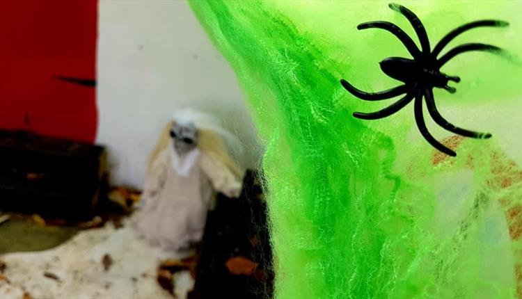 Spooky spider