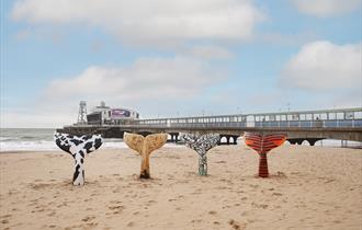 image of tails on the beach by the pier