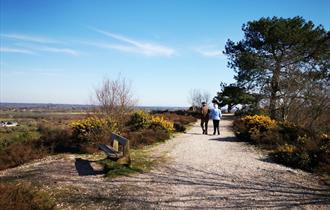 A trail at the peak of the Hill with a great view of Christchurch.