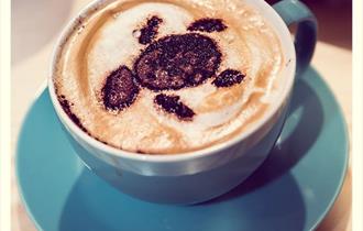Mocha Turtle Coffee Bar