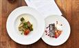 two dishes