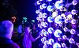 Young girl admiring the interesting light up art exhibition