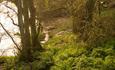 Stour Valley Nature Reserve