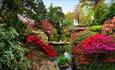 Wide shot of the beautiful bloom and lake at Compton Acres Japanese Garden