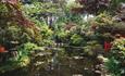 Another angle of the pond in the Japanese gardens.