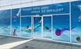 Vinyl window sticker of an underwater scene that reads; 'never lose your sense of wonder'