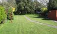 Garden with green grass and trees surrounding the garden