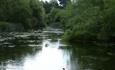 Stour Valley Nature Reserve