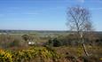 Another view from the top of St Catherine's with a tree and white house in foreground.