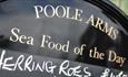Poole Arm Sea Food of the Day