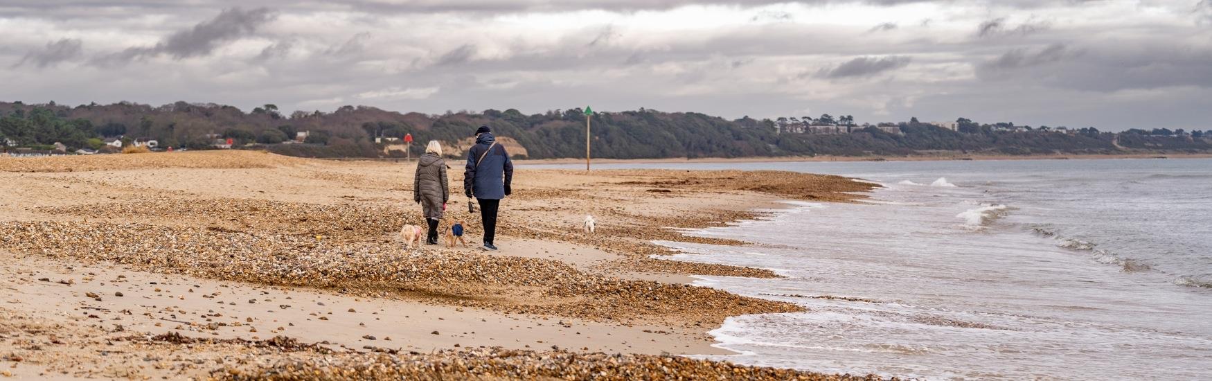 Old couple walking along Avon beach during winter with their two small dogs