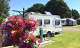 caravan on the grass on a beautiful sunny day Meadowbank Holidays