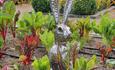 Hare in a vegetable garden
