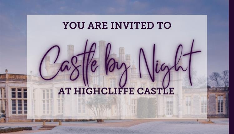 Castle by Night poster