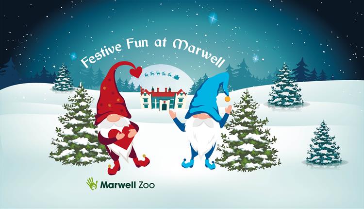 Festive Fun at Marwell Zoo
