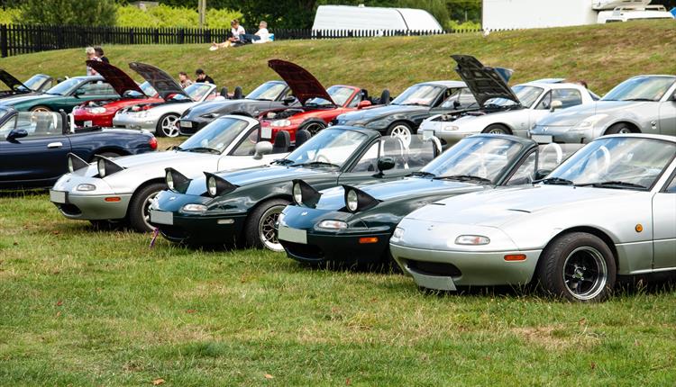 Cars lined up at Beaulieu's Simply Japanese