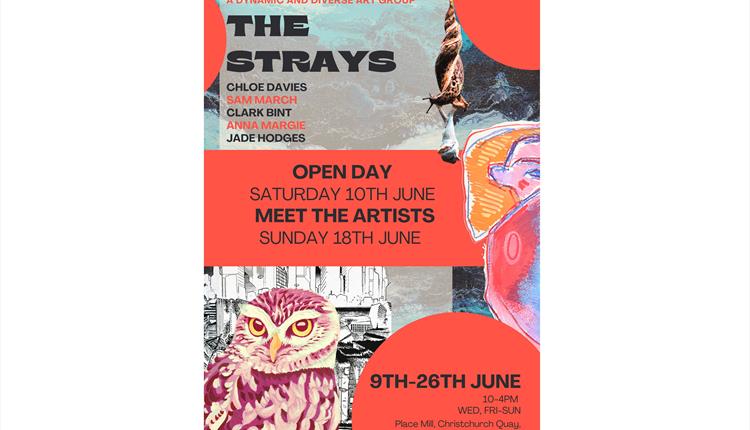 Poster Collage showing ceramics, landscapes and an owl prompting 'The Strays' exhibition