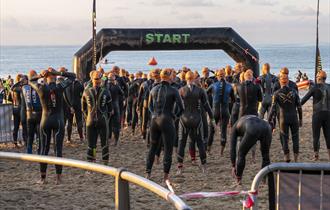 triathlon swimmers at the starting line