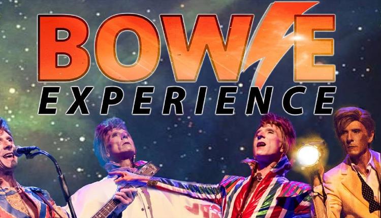 Bowie Experience 2022
