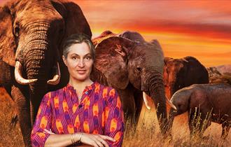 SABA DOUGLAS-HAMILTON - IN THE FOOTSTEPS OF ELEPHANTS
