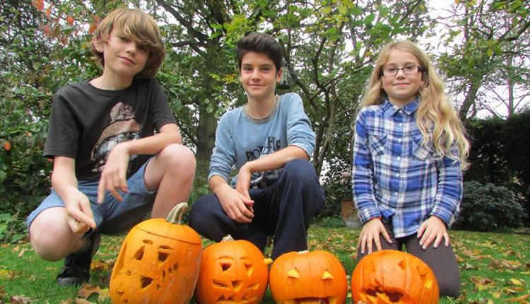 Spooky Woodland Walk and Activity Trail