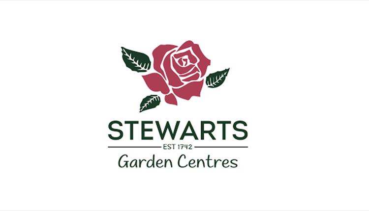 Stewarts logo red rose.