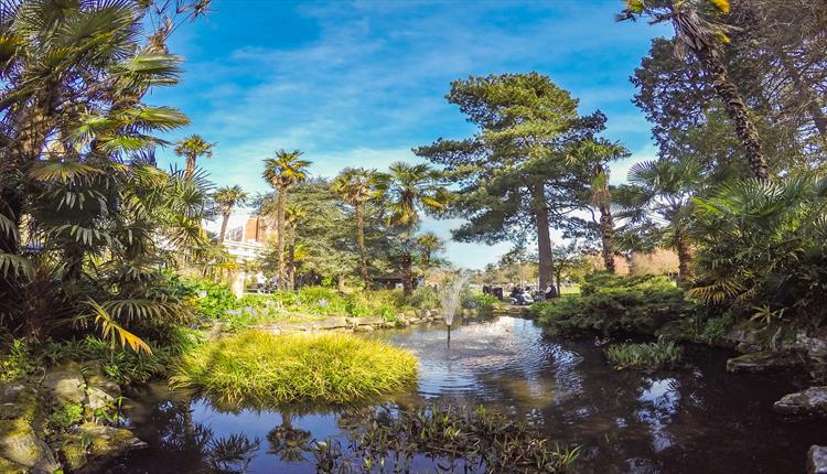 Idyllic image of Bournemouth's Lower Gardens featuring its water fountain and pretty range of nature